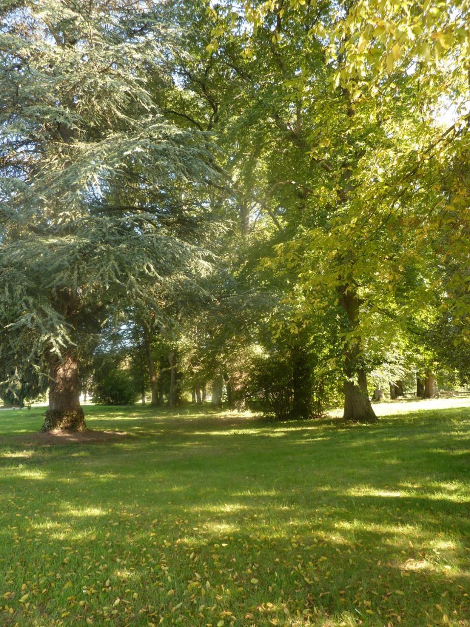 Domaine De Chaligny Hostel Saint-Hilaire-en-Morvan Luaran gambar